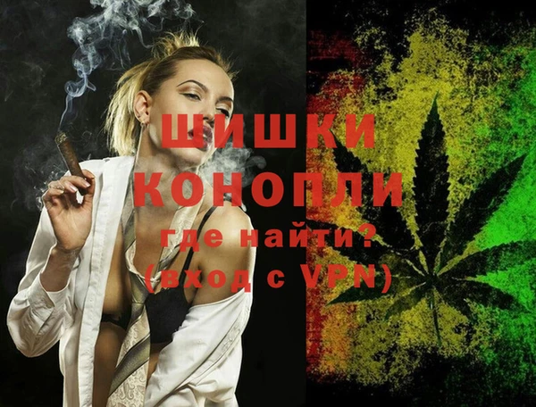 прущие грибы Кинешма
