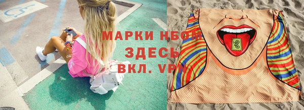 хмурый Касимов