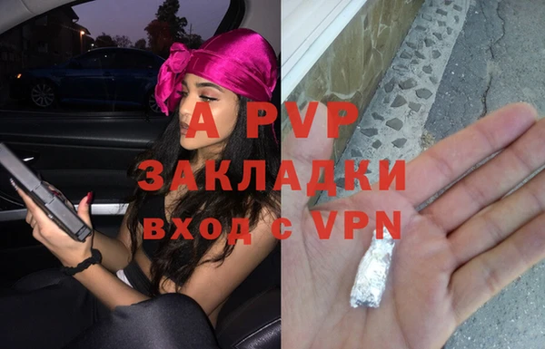 амф Карпинск