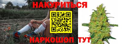 амф Дубна