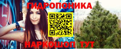 амф Дубна